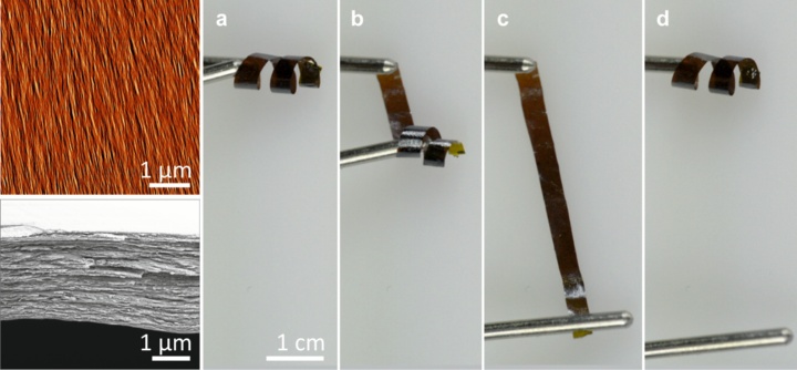 Oberfläche (oben links) und Querschnitt (unten links) der Vanadiumpentoxid-Papiere, die eine außerordentliche Flexibilität aufweisen (rechts). 