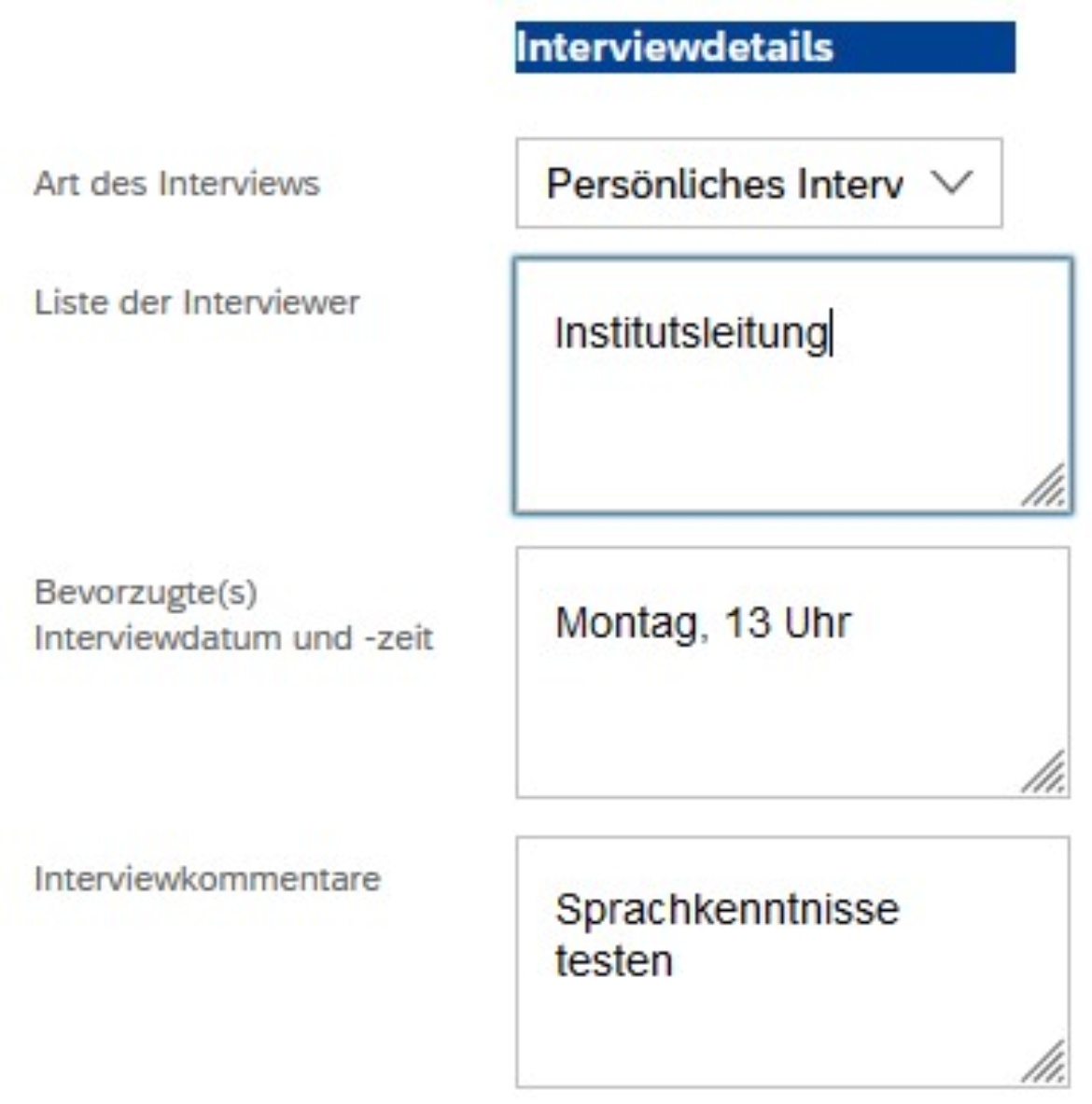 Screenshot aus dem System: Interviewdetails werden in den „Interviewoptionen“ festgelegt.