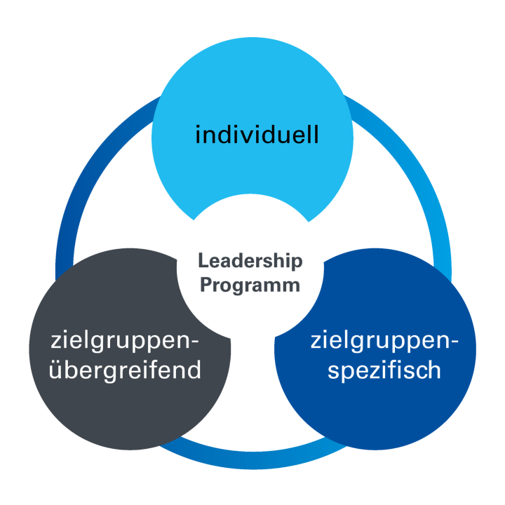 Die Grafik zeigt den Aufbau des "Leadership-Programms". 